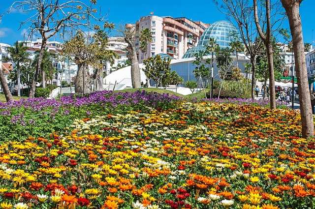 imagen de flores con el edificio del orquideario detrás